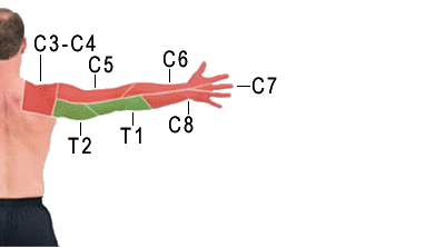 Dolori articolari